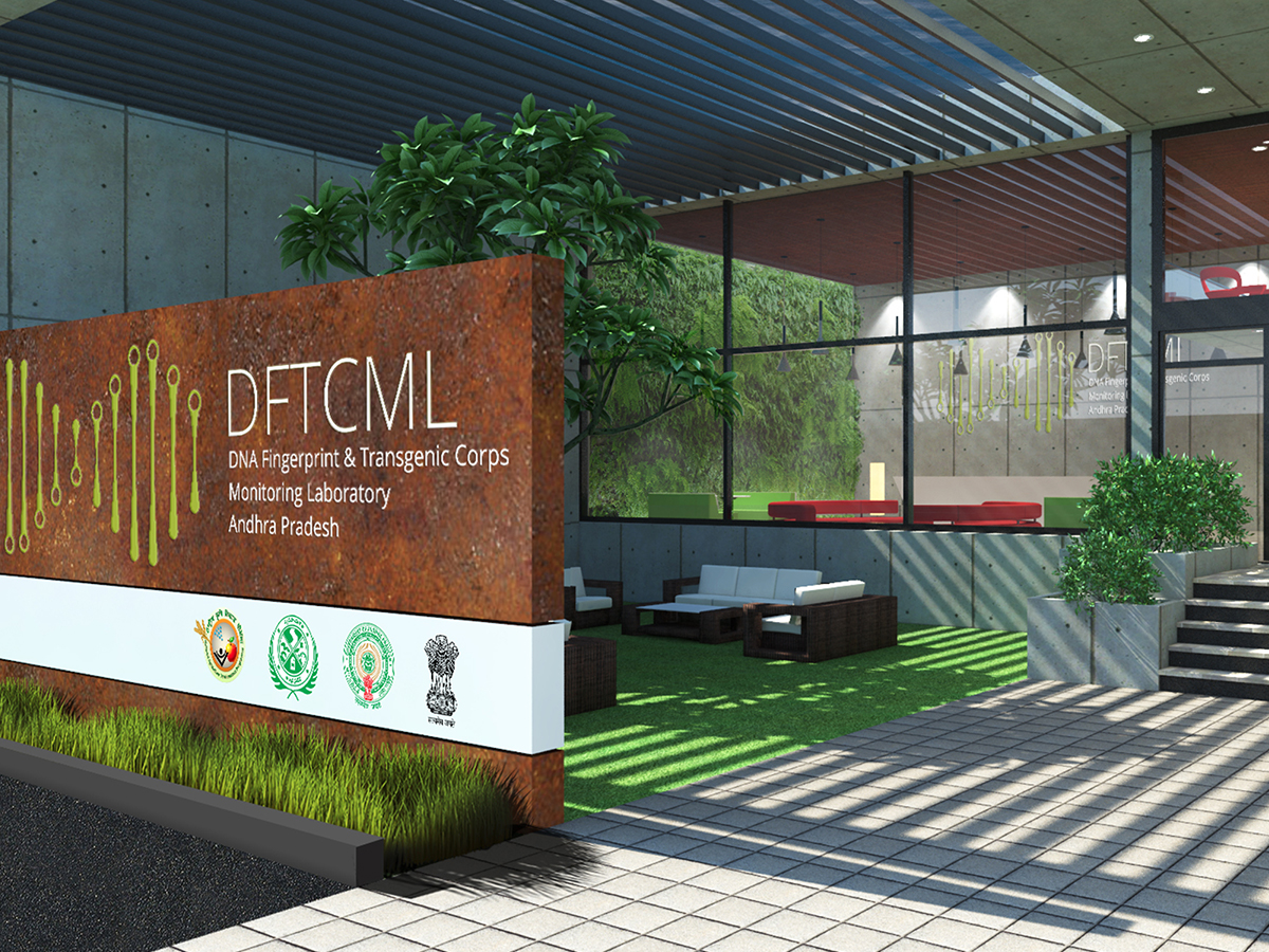 DFTCML
