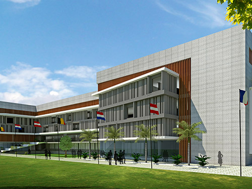 SPARKLING STAR CYGNUS